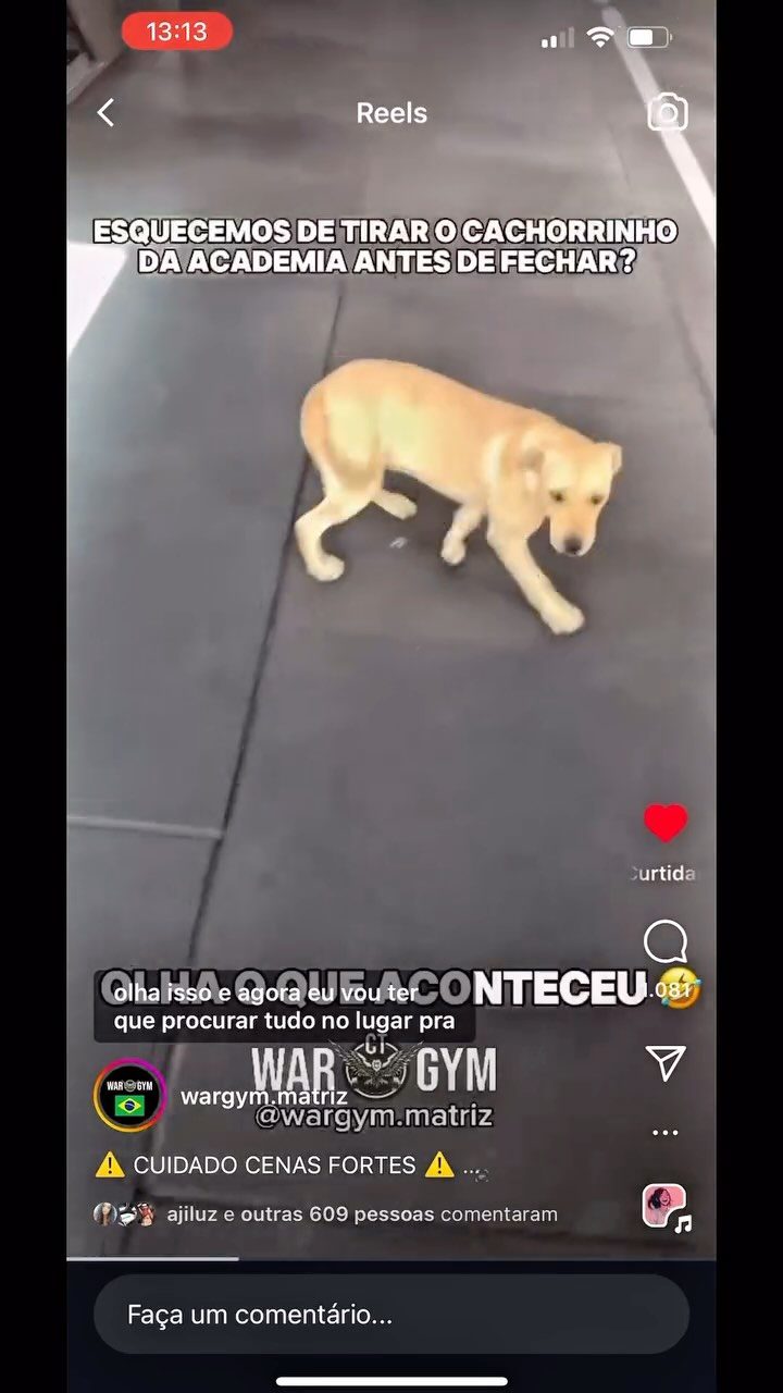 Instagram post from wargym.matriz. This post is in position 5.